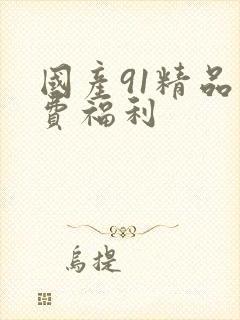 国产91精品免费福利