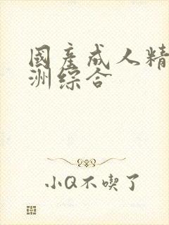 国产成人精品亚洲综合