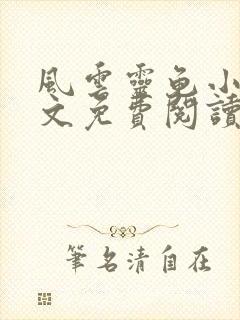 风云灵龟小说全文免费阅读