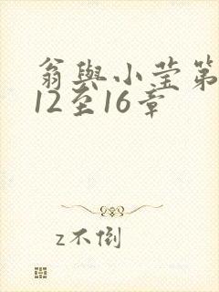 翁与小莹第十部12至16章