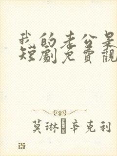 我的老公是总裁短剧免费观看全集