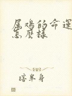 属鸡的命运一生怎么样