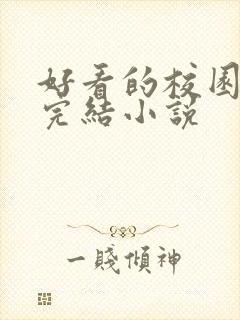 好看的校园言情完结小说封面