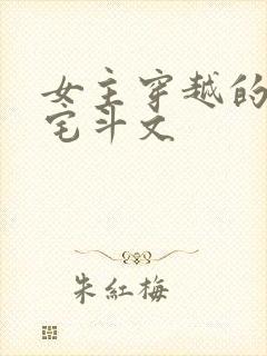 女主穿越的古言宅斗文