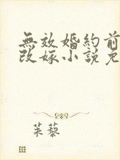 无效婚约前妻要改嫁小说免费阅读封面