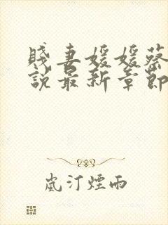 贱妻媛媛蔡叔小说最新章节更新