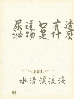 尿道口有透明分泌物是什么病