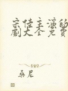 宋佳主演的电视剧大全免费观看