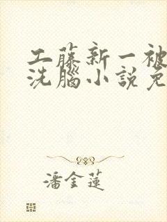 工藤新一被催眠洗脑小说免费阅读封面