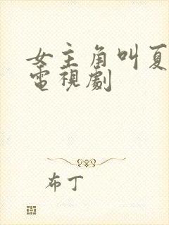 女主角叫夏沫的电视剧封面