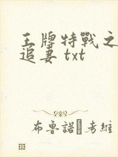 王牌特战之权少追妻 txt
