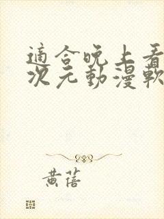 适合晚上看的二次元动漫软件