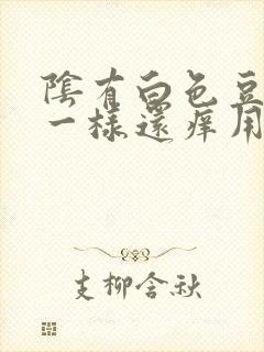 阴有白色豆腐渣一样还痒用什么药