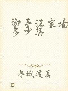 御手洗家墙洞是多少集