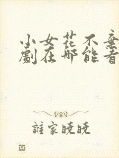 小女花不弃电视剧在哪能看