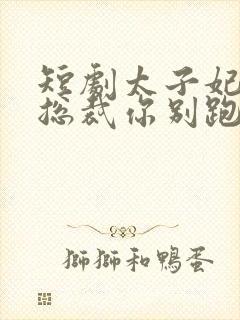 短剧太子妃驾到总裁你别跑封面