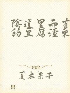 阴道里面有白色的豆腐渣东西还痒