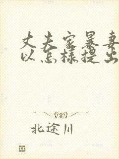 丈夫家暴妻子可以怎样提出离婚