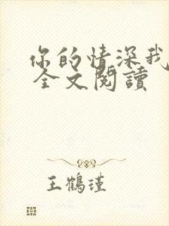 你的情深我不配 全文阅读