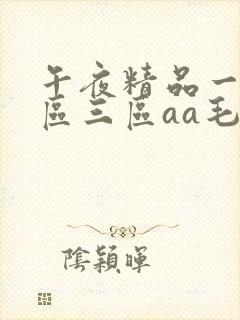 午夜精品一区二区三区aa毛片