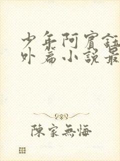 少年阿宾钰慧番外篇小说最新章节列