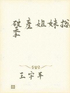 破产姐妹总共几季