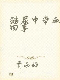 猫尿中带血怎么回事封面