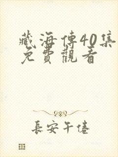 藏海传40集版免费观看封面