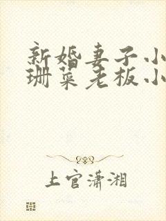 新婚妻子小说芷珊菜老板小说全文阅读封面