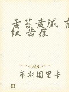 舌苔黄腻 有裂纹 齿痕