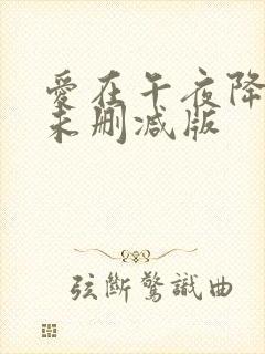 爱在午夜降临前未删减版