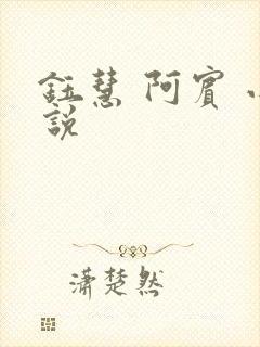 钰慧 阿宾 小说