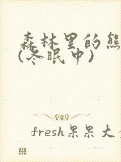 森林里的熊先生(冬眠中)