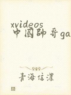 xvideos中国帅哥gay