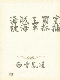 海贼王罗宾娜美被海军抓捕的漫画