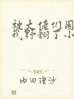 被大佬们团宠后我野翻了小说阅读封面