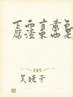 下面有黄色的豆腐渣东西是什么封面