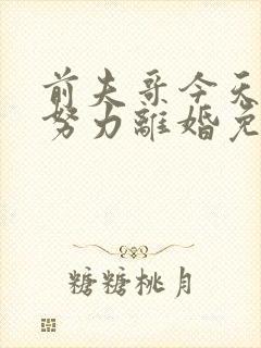 前夫哥今天也在努力离婚免费阅读