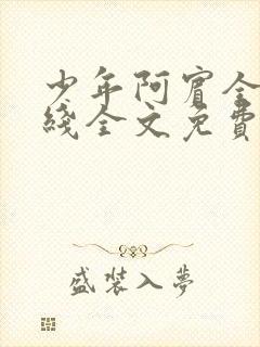 少年阿宾全集在线全文免费阅读