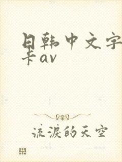 日韩中文字幕不卡av