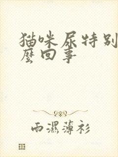 猫咪尿特别黄怎么回事