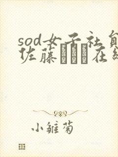 sod女子社员佐藤カレン在线播放