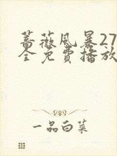 蔷薇风暴27集全免费播放在线观看