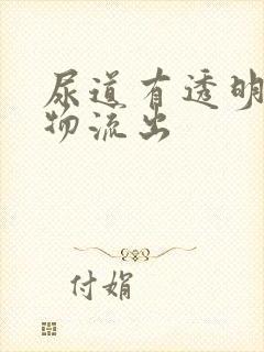 尿道有透明分泌物流出