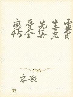 恋爱先生电视剧45全集免费观看完整版封面