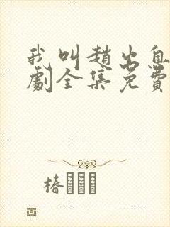 我叫赵出息电视剧全集免费观看封面