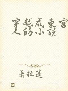 穿越成东宫蒋美人的小说