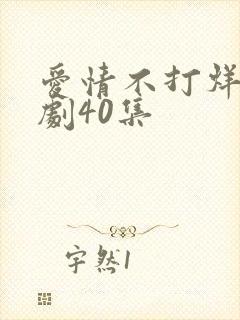 爱情不打烊电视剧40集封面