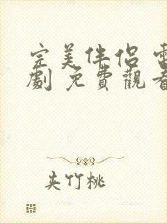 完美伴侣 电视剧 免费观看封面