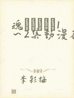 魂インサート1～2集动漫在线观看封面